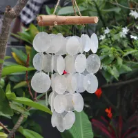 Parel & Driftwood Windgong – Handgemaakt uit Indonesië – Image 3