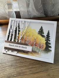 Greeting Card Blank Single: "thank you so much" – Image 3