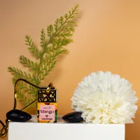 Mango & Coconut Milk Car Diffuser – Gold