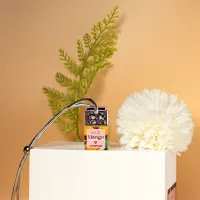 Mango & Coconut Milk Car Diffuser – Silver
