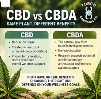 NoMi Sober Full Spectrum CBD Oil – Image 3