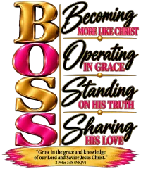 Dare2B Different Boss Collection – Image 7