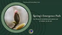 Spring’s Emergence Path – Image 1