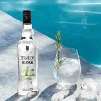 Bermuda Triangle Apple Gin Souvenir Gift – Image 1