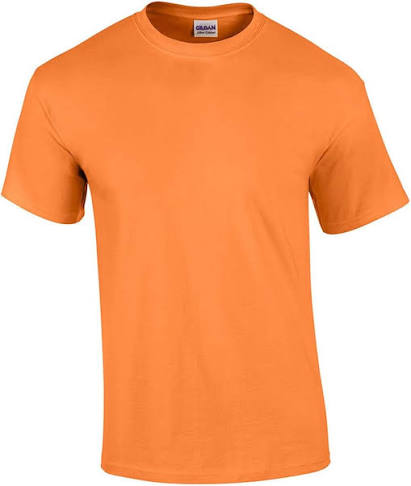  Women’s Business Logo t-shirts – SAFTEY ORANGE, SMALL