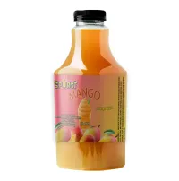 Mango Blender Mixer – Image 1