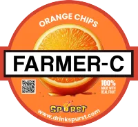 Dehydrated Sliced Oranges – Image 1