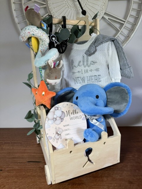Just Arrived Baby Box – Image 4