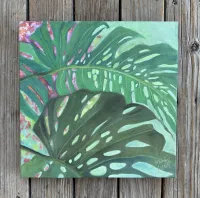 Monstera – Image 1