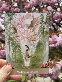 The Pregnancy Deck  – Image 5