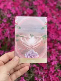 The Pregnancy Deck  – Image 6