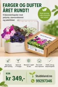 Click and Grow Smart Garden Refill 9-pack Vibrant Flower Mix – Image 1