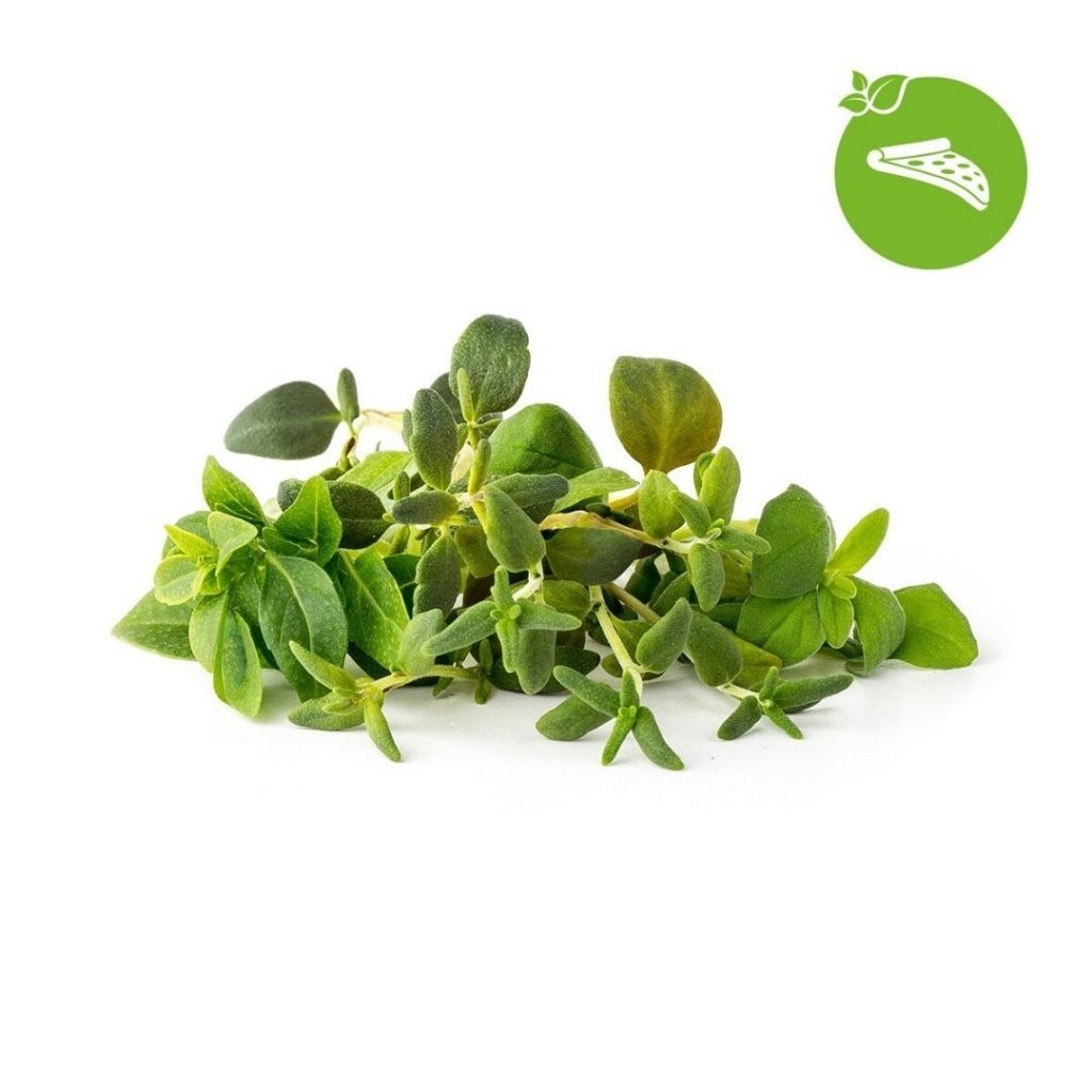 Click & Grow Smart Garden Backfill - Italian Herbs 9-pack  – Image 1