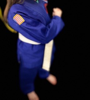 Embroidered Brazilian Jiu Jitsu Gi-04022 – Image 2