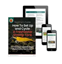 Beginners Tank Cycling Guide – Image 1