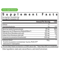 Optimal Electrolyte Berry – Image 2