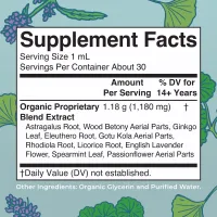 Adrenal and Focus – Image 2