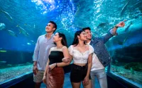 Summer Waves & Wonders Combo – Image 3