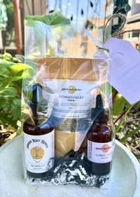 Stomach Wellness Kit – Image 1