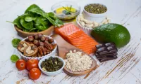 IgG Food Explorer - Program – Image 1