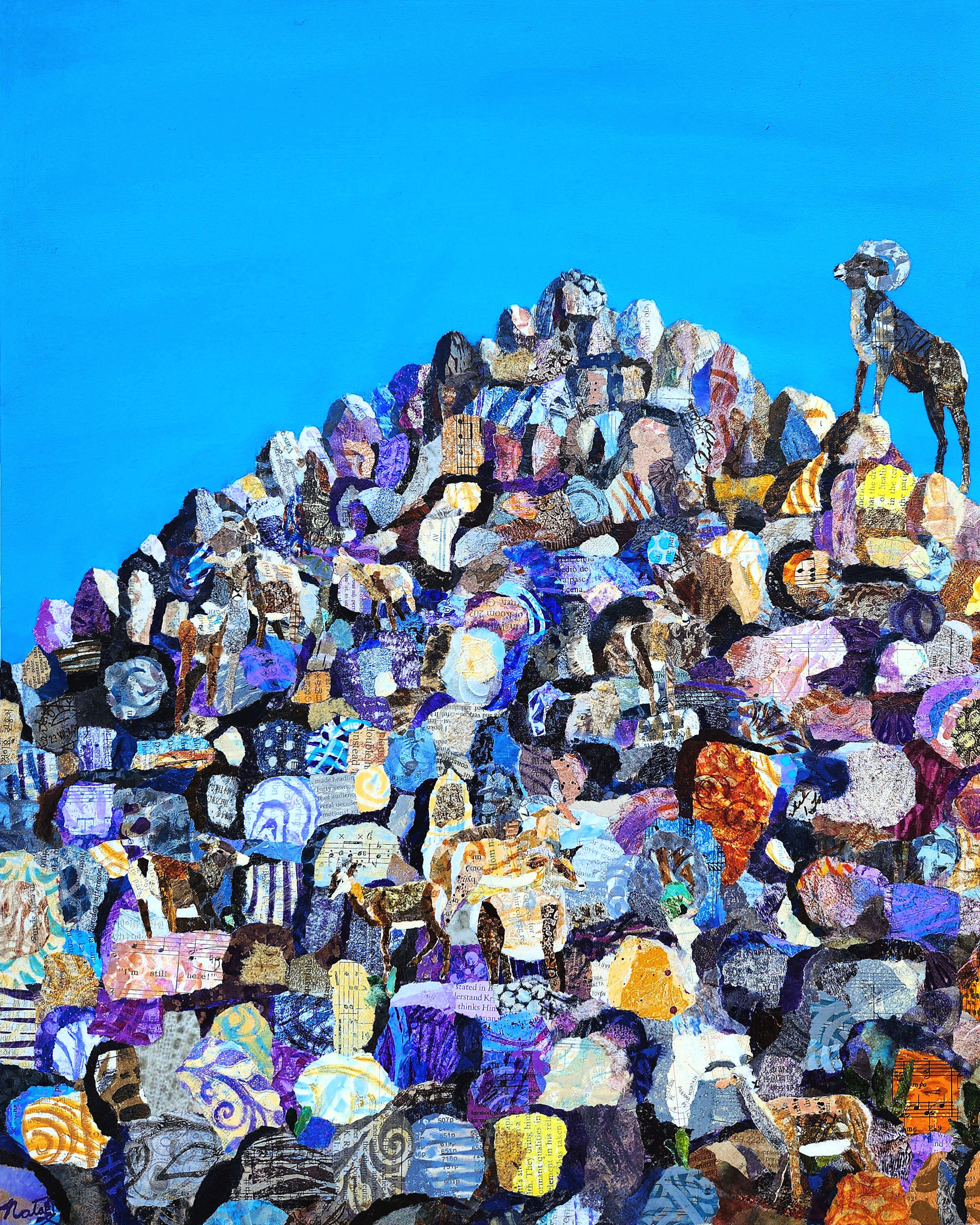 Wild Neighbors: Where Are Ewe? – Image 1