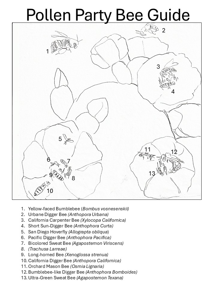 Pollen Party – Image 2