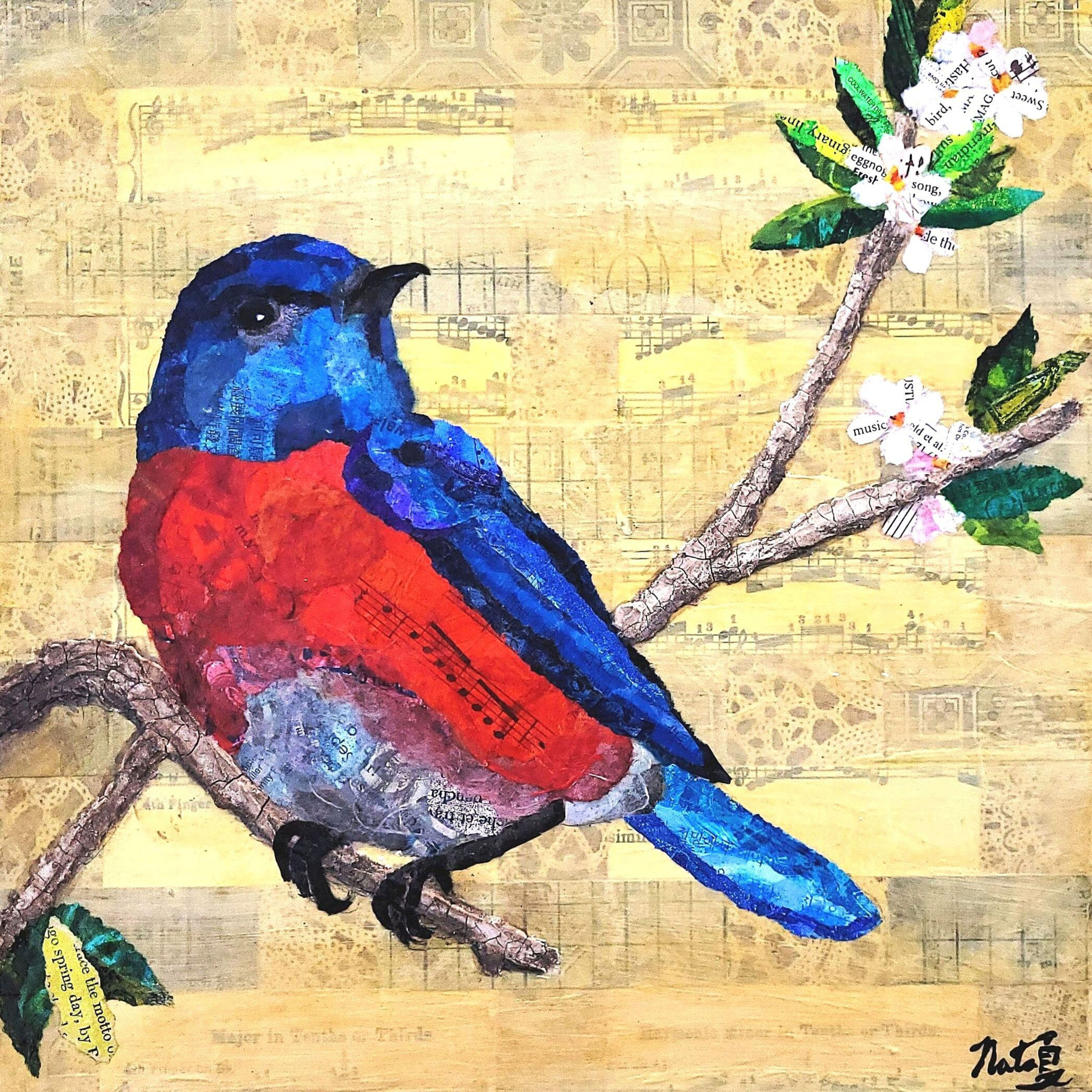 Backyard Birds: Western Bluebird – Image 1