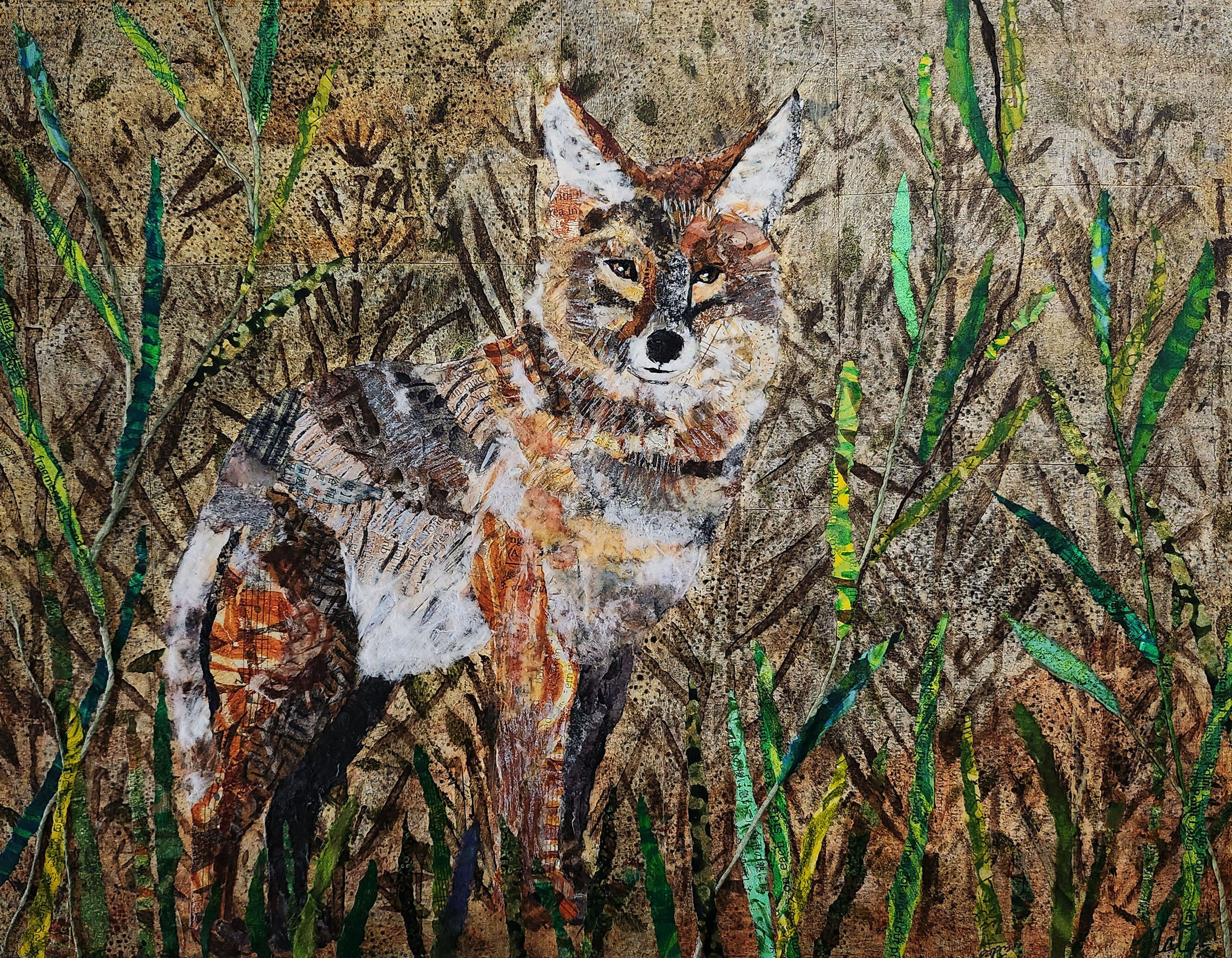 Wild Neighbors: Coyote – Image 1