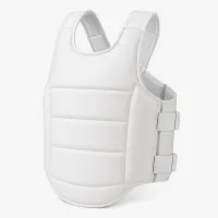 Chest Protector – Image 1