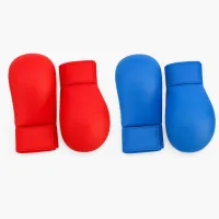 Karate Gloves – Image 1