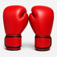 BudoFit Gloves – Image 1