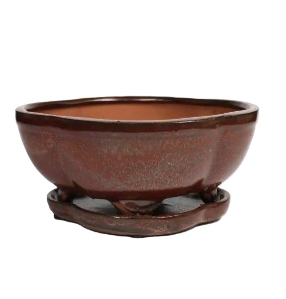 8" Glazed Bonsai pot Saucer Attached – Image 7