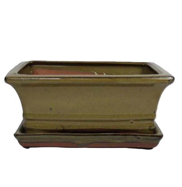 8" Glazed Bonsai pot Saucer Attached – Image 3