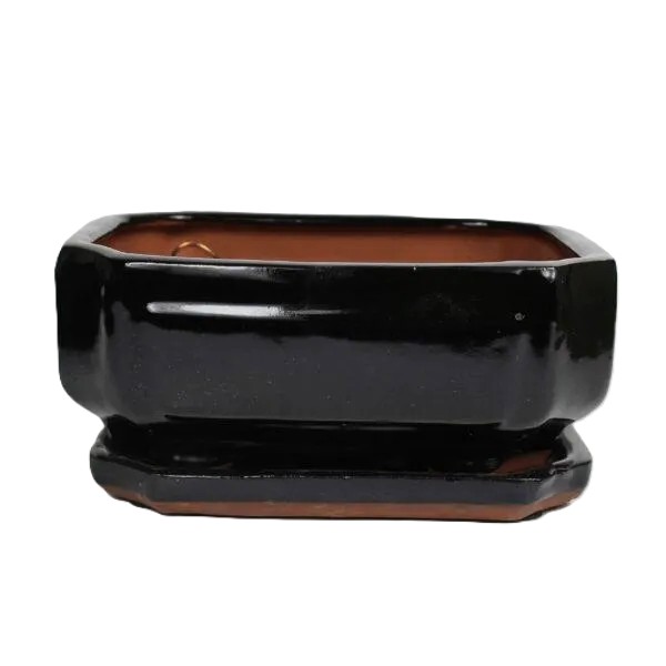 8" Glazed Bonsai pot Saucer Attached – Image 1