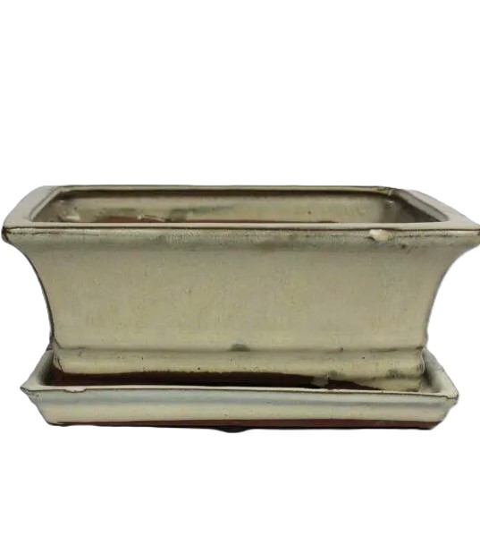 8" Glazed Bonsai pot Saucer Attached – Image 2
