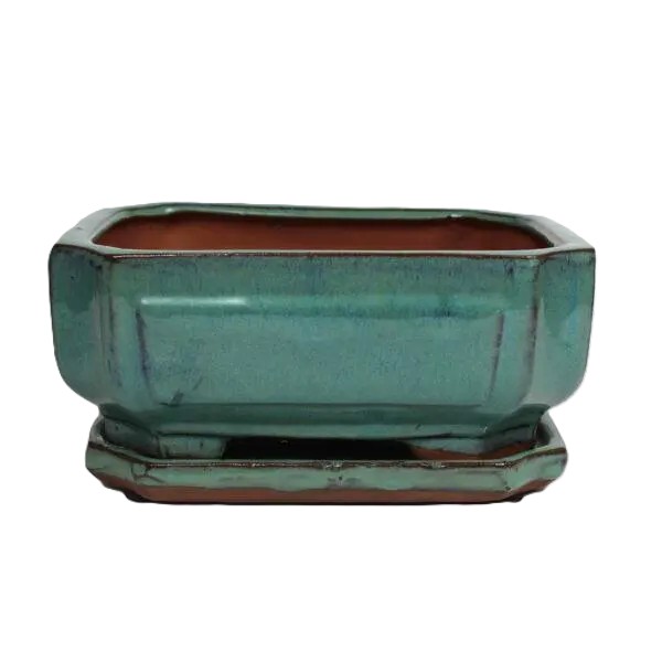 8" Glazed Bonsai pot Saucer Attached – Image 9