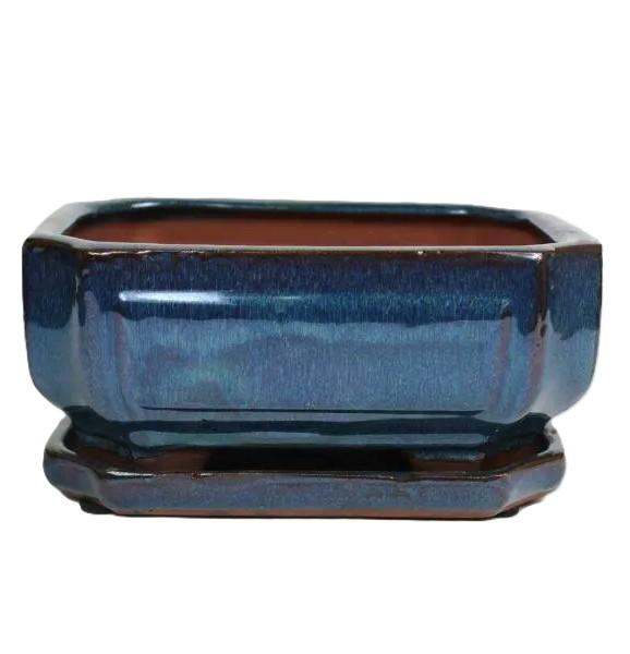 8" Glazed Bonsai pot Saucer Attached – Image 10