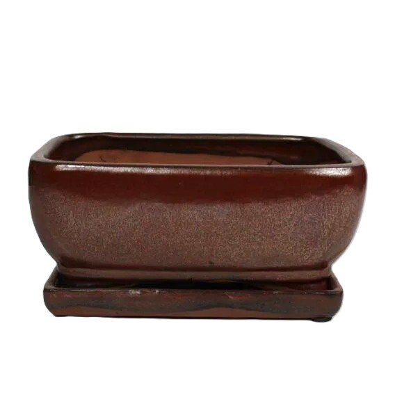 8" Glazed Bonsai pot Saucer Attached – Image 6