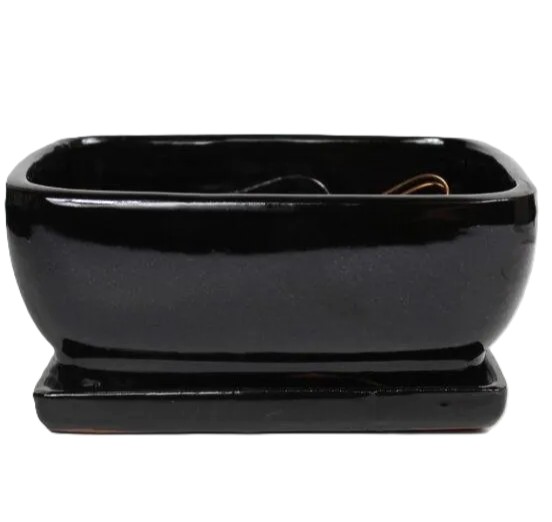 8" Glazed Bonsai pot Saucer Attached – Image 8