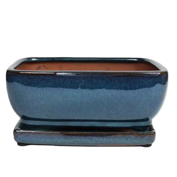 8" Glazed Bonsai pot Saucer Attached – Image 4