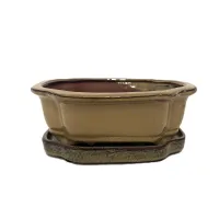 8'' Glazed Bonsai Pot w/ Unattached saucer – Image 3