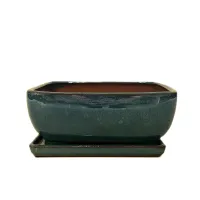 10" Glazed Bonsai pot w/ Attached saucer – Image 6