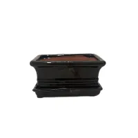 6" Glazed Bonsai pot w/ unattached saucer – Image 5