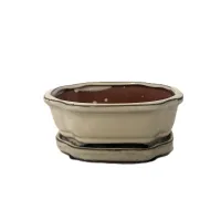 6" Glazed Bonsai pot w/ unattached saucer – Image 4