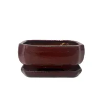 6'' Glazed Bonsai Pot w/ Attached saucer – Image 8