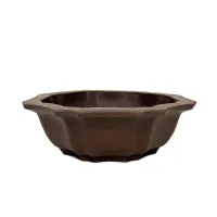 12" Unglazed Bonsai pot w/o Saucer – Image 7