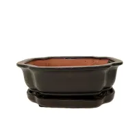 10" Glazed Bonsai pot w/ Unattached saucer – Image 2