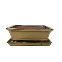 10" Glazed Bonsai pot w/ Unattached saucer – Image 4