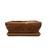 10" Glazed Bonsai pot w/ Unattached saucer – Image 3