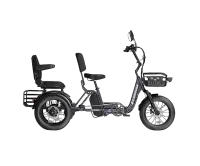 E-Bike USA Tri Star 2 - 3-Wheeled 2-Seater Cargo Commuter Folding Step-Through Backseat Passenger Trike E-Bike – Image 1